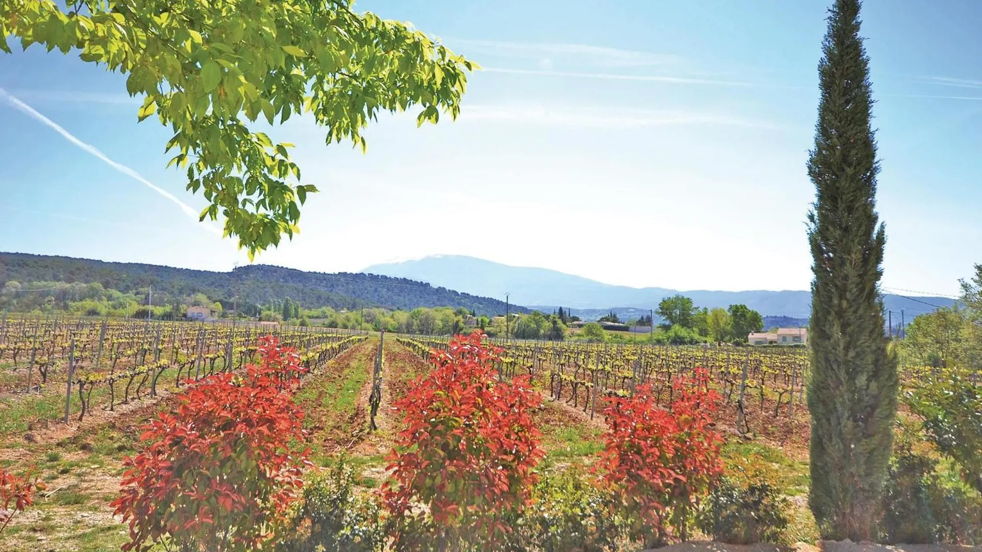 Awesome Home In St Marcellin L Vaison Holiday home Vaison-la-Romaine